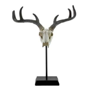 Skull on stand van Lifestyle Home Collection