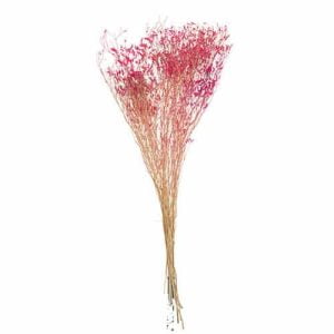 J-line bundel gedroogde gypsophila fuchsia