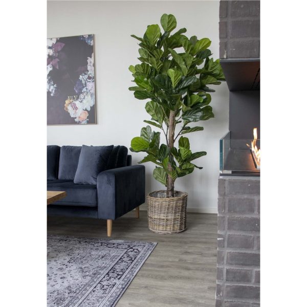 house nordic kunstplant ficus - 190 cm - Afbeelding 2