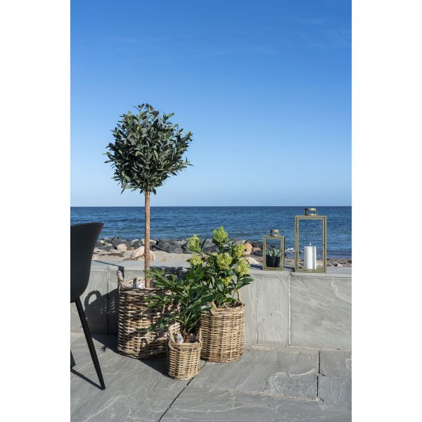 house nordic kunstplant skimmia - 75cm - Afbeelding 2
