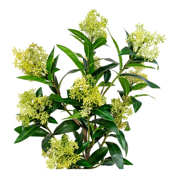 house nordic kunstplant skimmia - 75cm - Afbeelding 4