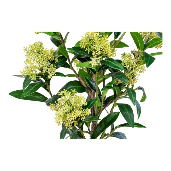 house nordic kunstplant skimmia - 75cm - Afbeelding 5