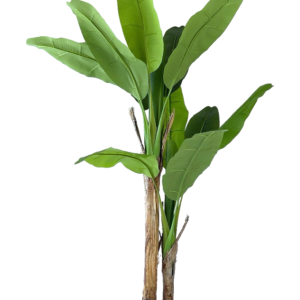 neverleafs bananenplant kunstplant - 160cm