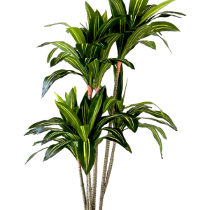 neverleafs dracaena fragnans - kunstplant - 150cm