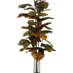 neverleafs ficus kunstplant – 120cm