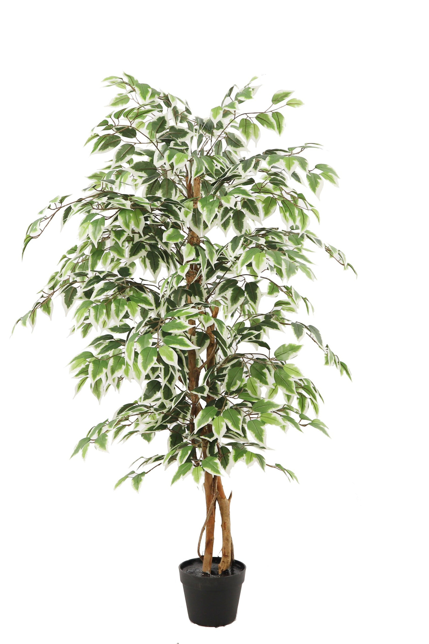 neverleafs ficus kunstplant – 140cm