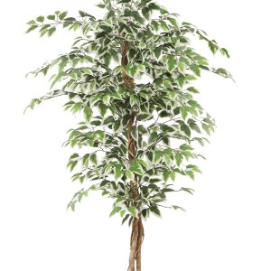neverleafs ficus kunstplant – 160cm