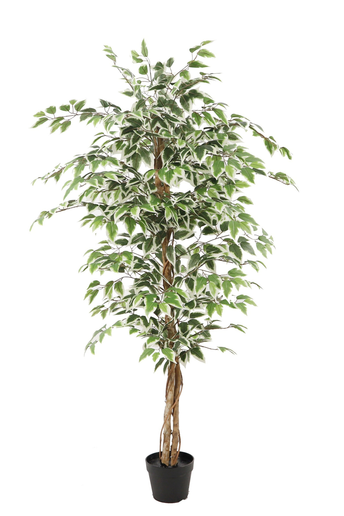 neverleafs ficus kunstplant – 160cm