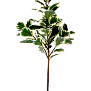 neverleafs ficus lyrata - kunstplant - deluxe - 160cm