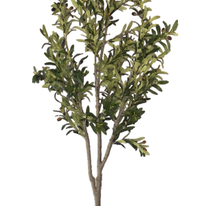 neverleafs kunst olijfboom - 200cm