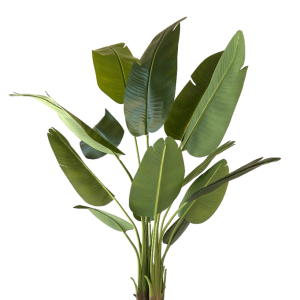 neverleafs strelitzia kunstplant - 150cm