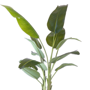 neverleafs strelitzia kunstplant - 180cm