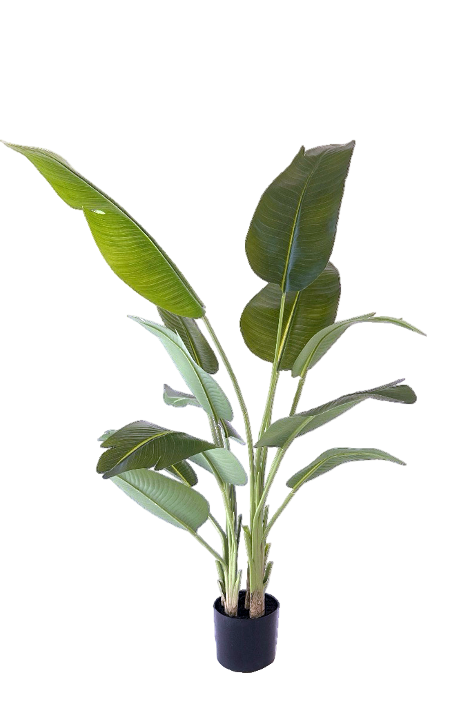 neverleafs strelitzia kunstplant - 180cm