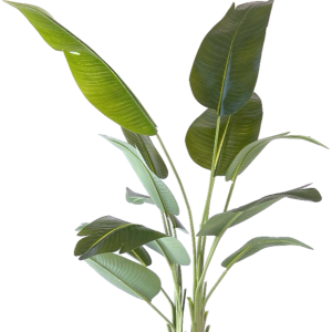 neverleafs strelitzia kunstplant - 200cm